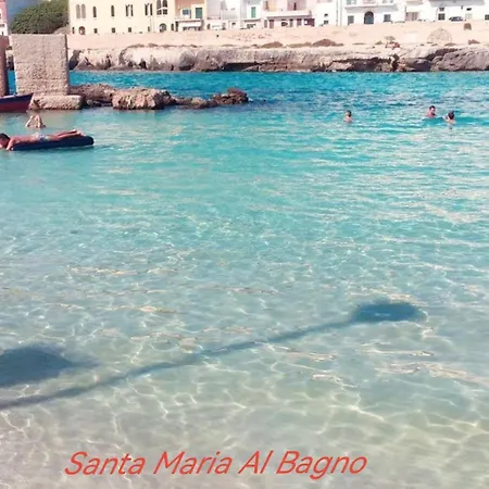 Msd * ガラトーネ